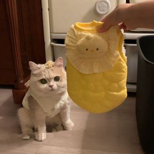 25年新款 猫咪衣服狗狗秋冬金渐层英短金吉拉宠物可爱保暖加绒马甲