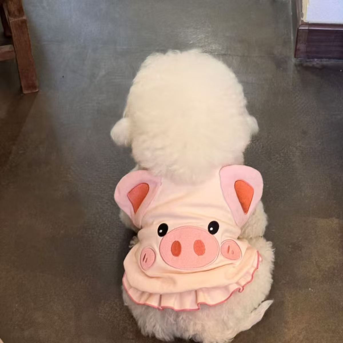 狗狗宠物衣服猫咪背心防掉毛夏季博美可爱动物衣服幼猫薄款小型犬