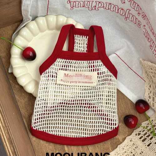 泰迪比熊防掉毛猫咪法式宠物衣服