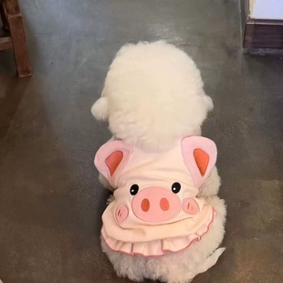 狗狗宠物衣服猫咪背心防掉毛夏季 小型犬 博美可爱动物衣服幼猫薄款