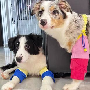 宠物狗狗专用护肘衣金毛边牧中大型犬防舔防磨前腿关节保护套护膝