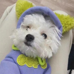 狗狗衣服秋冬雪纳瑞比熊泰迪中小型犬猫咪加绒保暖连帽卫衣