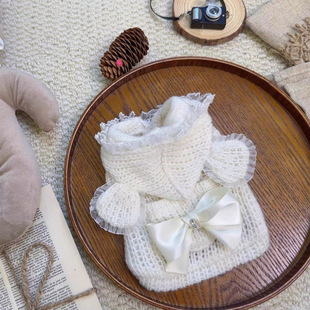 宠物衣服狗狗小熊毛衣泰迪比熊贵宾小猫猫咪小型幼犬秋冬装