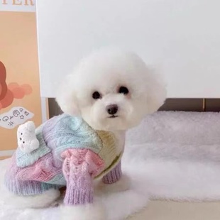小狗泰迪比熊博美雪纳瑞小型犬秋季 宠物狗狗衣服春秋毛衣冬季 开衫
