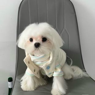 宠物秋冬新款 狗狗保暖可爱卡通背心马尔济斯西施泰迪约夏克猫衣服