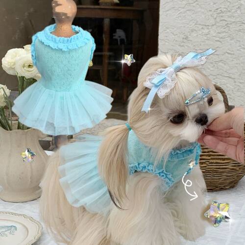 宠物服猫咪狗狗小型犬夏季天鹅湖芭蕾裙小碎花花边bm风
