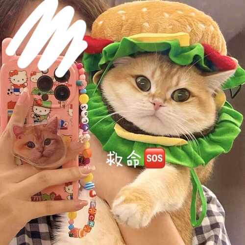 猫咪搞怪卡通宠物喵当劳狗狗帽子