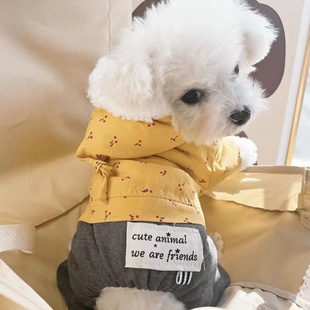 宠物博美比熊雪纳瑞贵宾犬泰迪狗狗衣服秋冬季 幼犬奶狗可爱 秋装