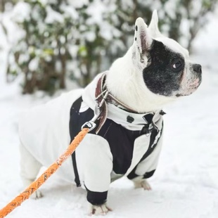 加厚夹棉巴哥犬衣服斗牛犬胖狗棉服充棉冬季 法斗衣服厚款 冬装