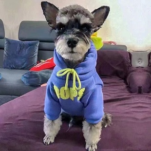 ins狗狗衣服秋冬泰迪雪瑞纳小型犬博美比熊猫咪洋气卫衣保暖服饰