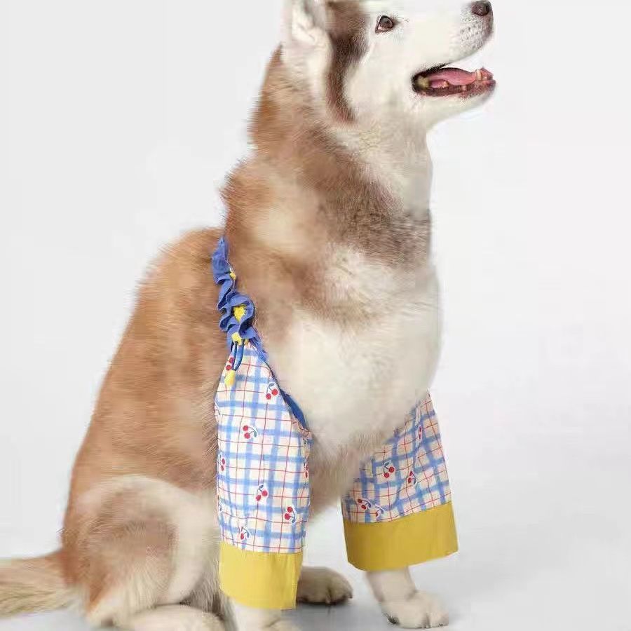 宠物狗狗护肘衣关节保护套大型犬护膝防脏神器宠物衣服四季通用