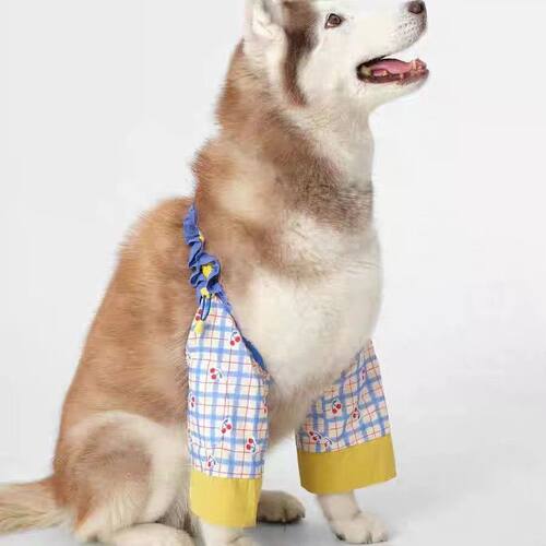 宠物狗狗护肘衣关节保护套大型犬护膝防脏神器宠物衣服四季通用