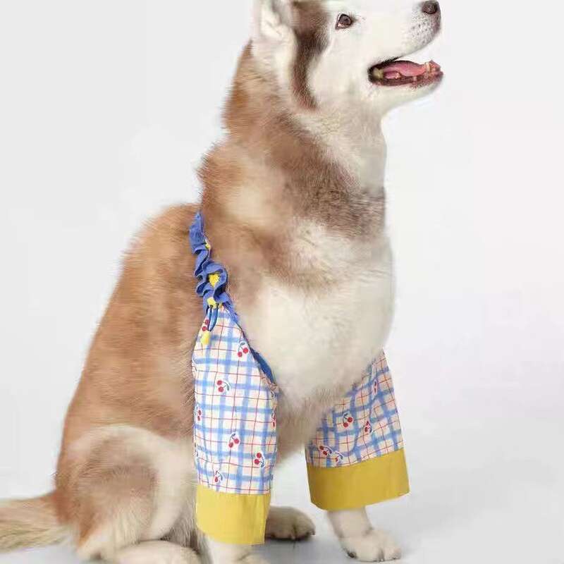 宠物狗狗护肘衣关节保护套大型犬护膝防脏神器宠物衣服四季通用