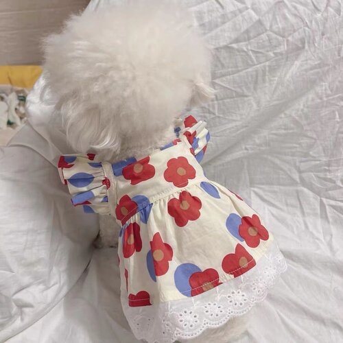 宠物衣服春夏碎花飞袖韩系短裙