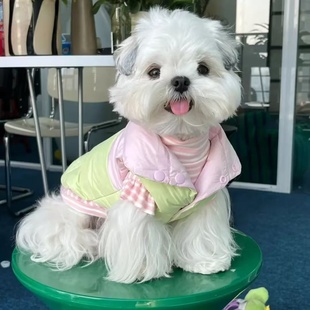 宠物泰迪棉衣加厚冬天可牵引比熊小型幼犬猫咪狗狗衣服秋冬装 选