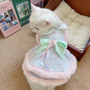 猫狗衣服秋冬保暖可牵引比熊泰迪背心幻彩蝴蝶结裙子加绒宠物衣服