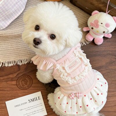 泰迪裙子小狗狗夏季衣服宠物小型幼犬比熊博美约克夏猫咪春夏薄款