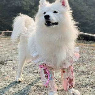 宠物狗狗专用护肘衣金毛边牧中大型犬防舔防磨前腿关节保护套护膝