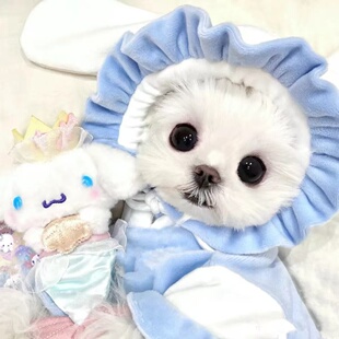 春秋冬宠物搞怪狐狸变身装毛绒绒外套恶搞狗狗衣服可爱连帽服装