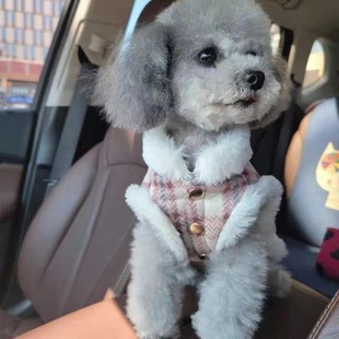 可牵引加绒狗狗衣服冬装 宠物泰迪小狗小型犬比熊博美猫咪衣服秋冬