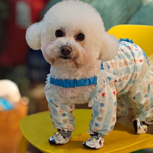 遛弯外出防尘四脚春夏狗狗防虫宠物防脏轻薄裤 腿比熊护腿小型衣服
