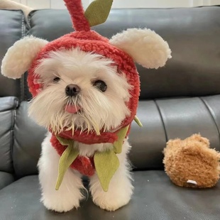 比熊秋冬款 狗狗宠物苹果装 约克夏马尔济斯泰迪柴犬小型犬可爱韩版