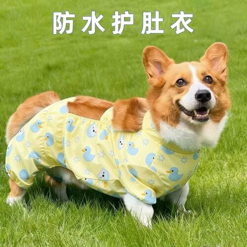 柯基狗狗专用护肚四脚衣雨天防脏防水神器腿套宠物衣服四季雨衣