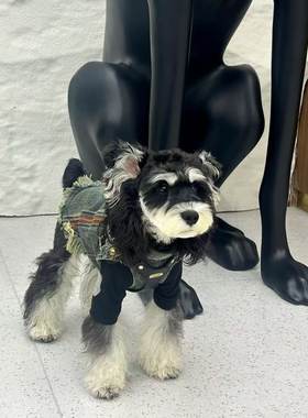 小狗狗衣服春款牛仔马甲雪纳瑞泰迪比熊博美约克夏猫咪背心