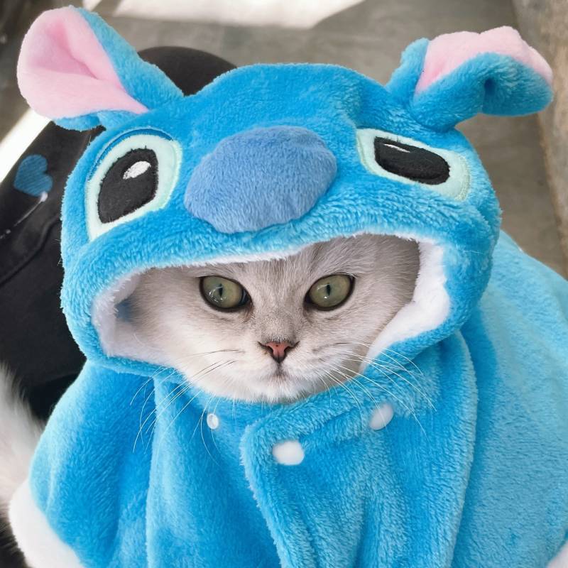 宠物狗猫咪毛绒盖毯小斗篷可爱