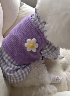 ins新款狗狗衣服韩版紫色毛衣背心泰迪比熊格子衬衫春夏秋冬装