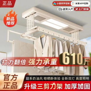 政府补贴亿家好太太电动晾衣架遥控升降阳台智能晒衣机家用晾衣杆