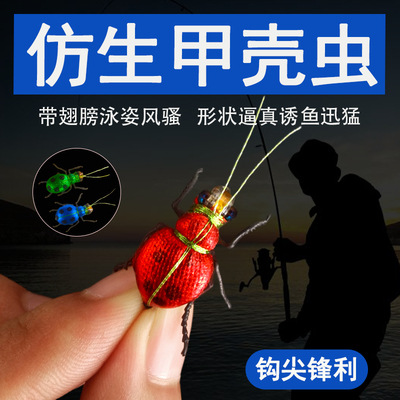 甲壳虫甲壳虫甲壳虫甲壳虫