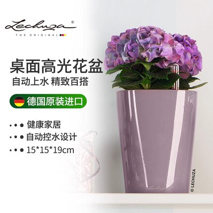 Lechuza德国进口花盆吸水智能树脂家用桌面绿植花卉创意种植透气