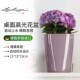 Lechuza德国进口花盆吸水智能树脂家用桌面绿植花卉创意种植透气
