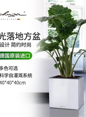 Lechuza德国进口自吸水花盆客厅户外落地储水大口径方形canto 40