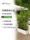 Lechuza德国进口创意花盆自动上水高档彷藤阳台长方形绿植trio