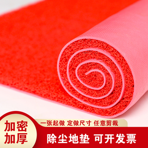 塑料丝圈地垫家用进门门垫加厚可裁剪隔音地毯门厅防水防滑垫定制