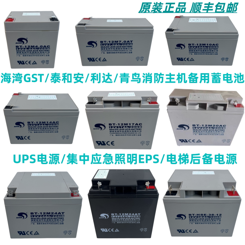 赛特蓄电池消防主机备用12V24AH图片