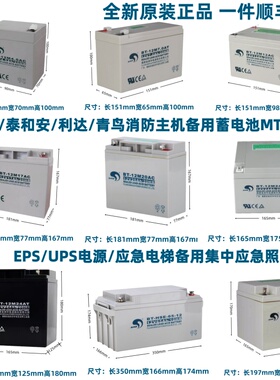 赛特海湾GST松江天成泰和安消防主机EPS应急报警备用蓄电池12V24A