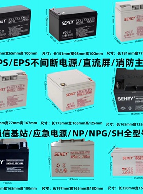 SEHEY西力SH/NPG24-12V24AH7AH38AH40AH UPS直流屏消防主机蓄电池
