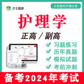 2024年正高副高副主任护师考试题库教材历年真题护理学电子习题集