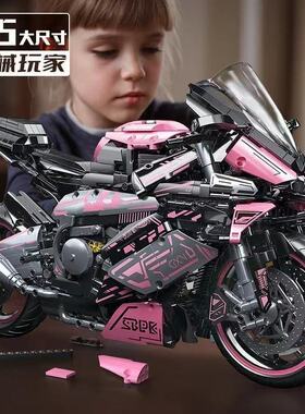积木赛车粉色宝马M1000RR摩托车积木机械组益智拼装玩具男孩礼物