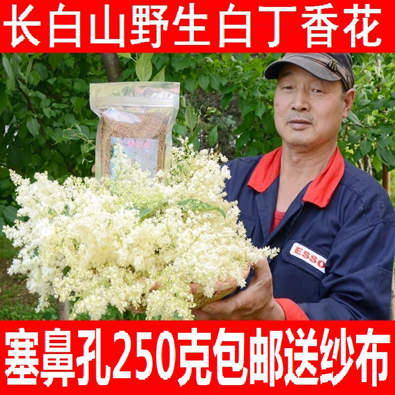 丁香花长白山野生白色丁香花正品白丁香花塞鼻孔阴干250克包邮在类目 传统滋补营养品, 养生茶中 - 来自Buy2taobao.com提供专业的淘宝代购服务