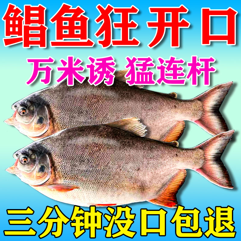 N0.1，鲳鱼小药，猛猛连杆