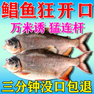 鲳鱼小药野钓鲳鱼专用饵料红白腹食人鲳浓荤腥饵花生诱食剂强爆护