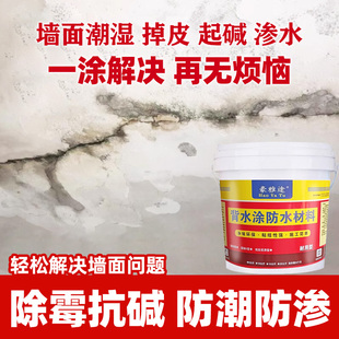 内墙防水防霉防潮粉背水涂堵漏材料返潮防水抗碱防止脱落修补涂料