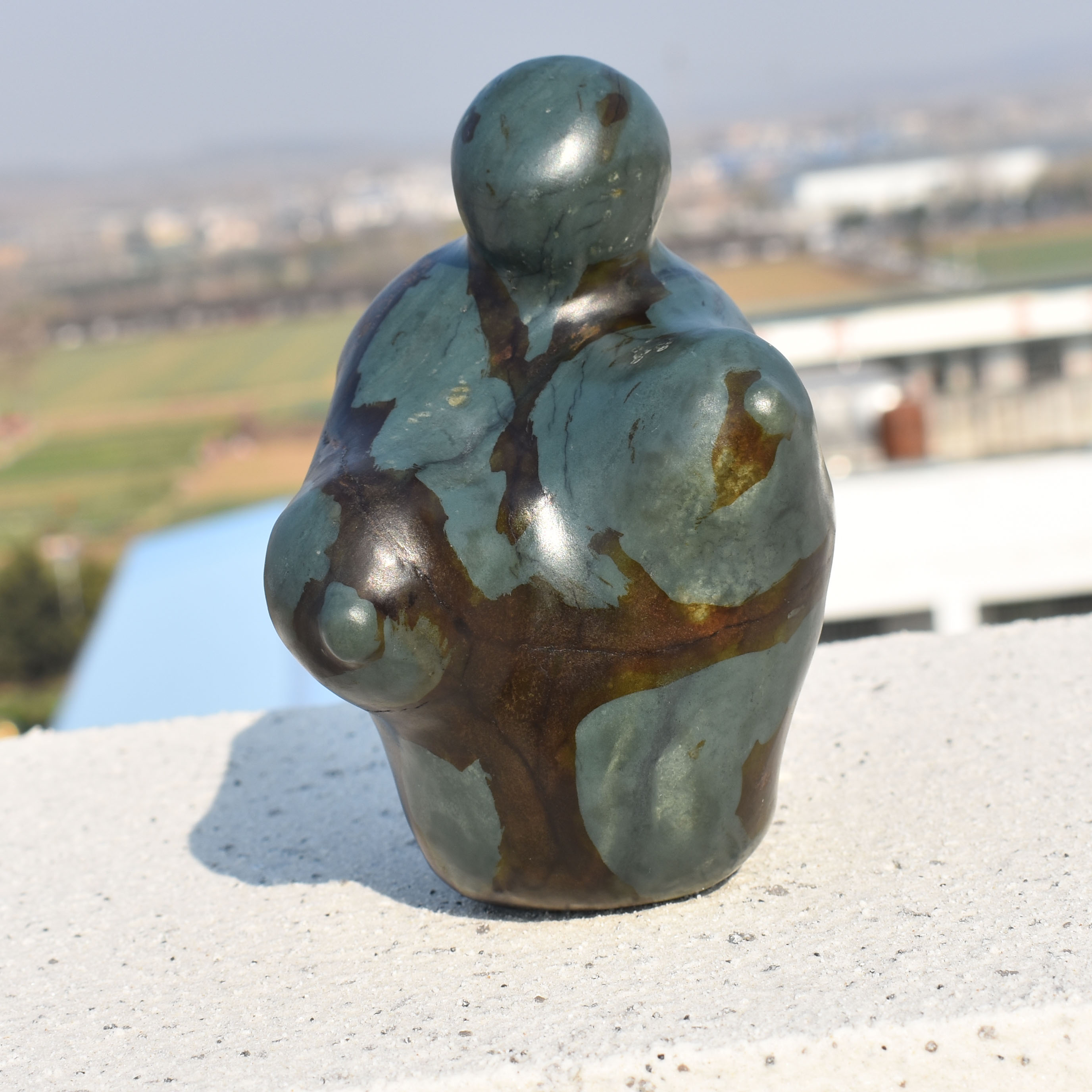 震惊了方言和田玉镇店金鹿皮蓝色蓝玉原生籽料异型意境原石玩料R1