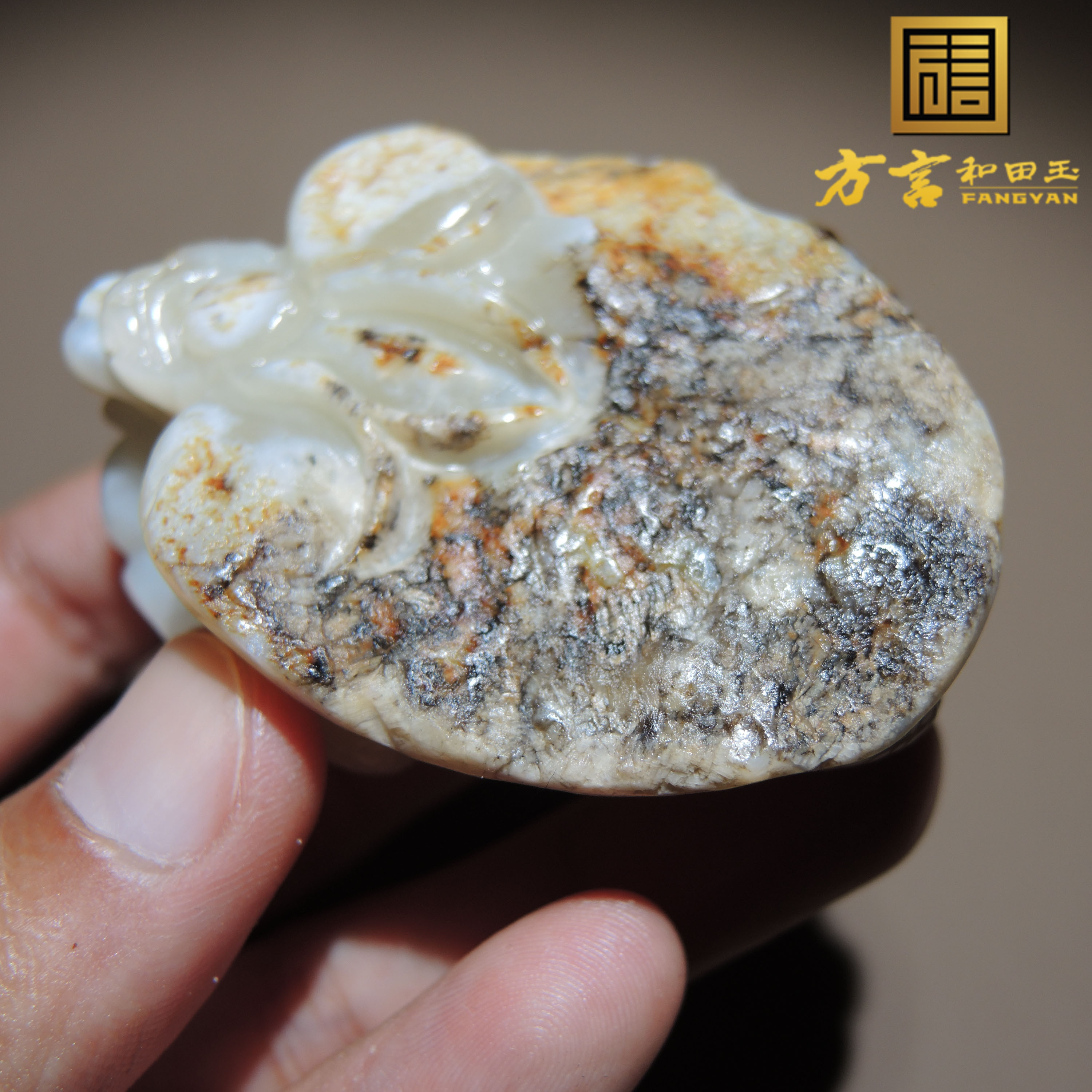 方言和田玉新疆罕见戈壁五彩玉黑油皮白皮洒金皮白玉底龙龟把件S