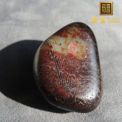 方言巨漏珍品老熟沁透鸽