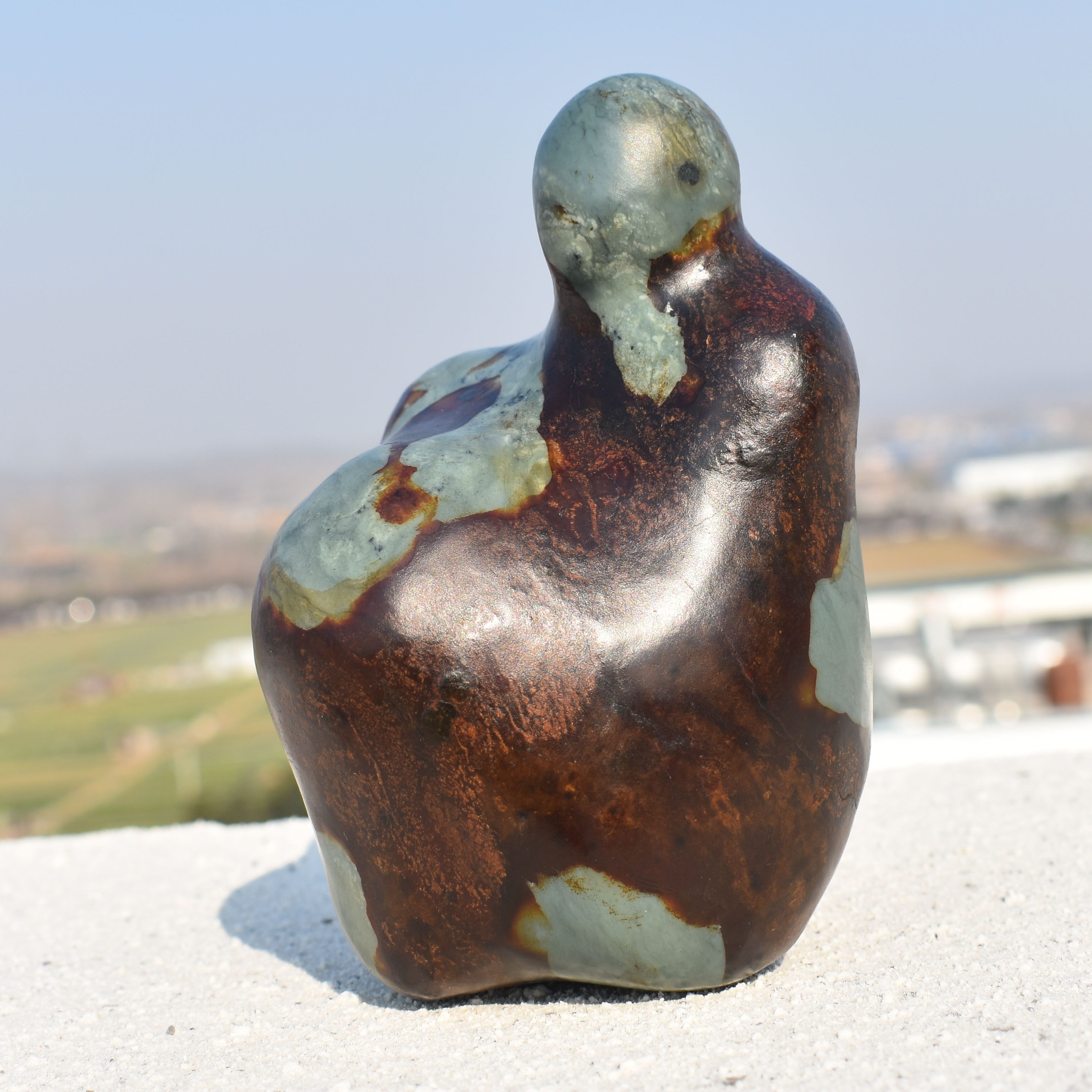 震惊了方言和田玉镇店金鹿皮蓝色蓝玉原生籽料异型意境原石玩料R1